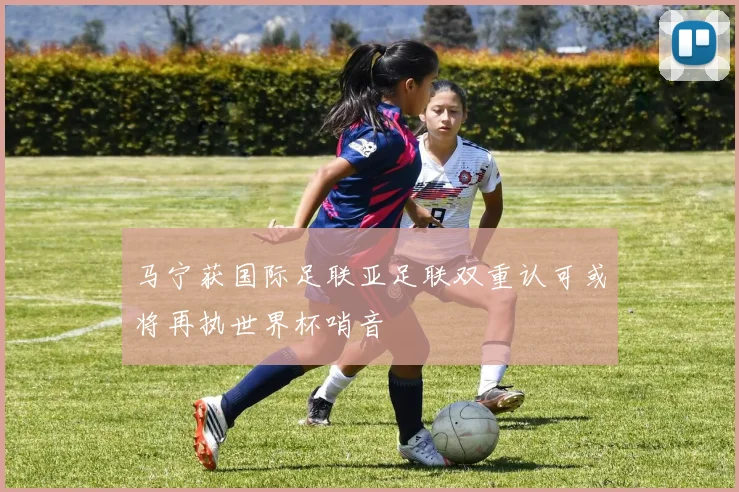 马宁获国际足联亚足联双重认可或将再执世界杯哨音